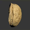 Close Up Open Walnut Showing Exposed Kernel And Natural Shell Texture 3d model
