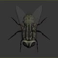 3D Rendered House Fly Game and Movie Character With Large Compound Eyes and Transparent Wings
