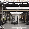 Spacious Modern Gym Interior Design With Professional Fitness Training Equipment And Natural Green Decorations