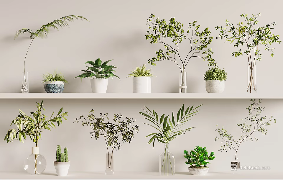 Potted Plants Arranged On White Shelves With Green Foliage And Glass Vases 3d model 
