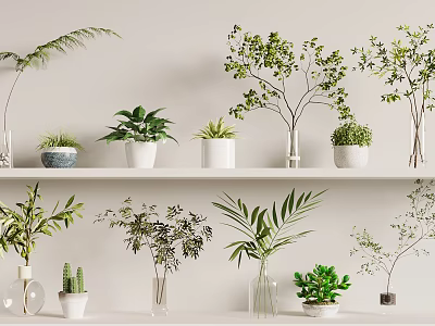 Potted Plants Arranged On White Shelves With Green Foliage And Glass Vases 3d model