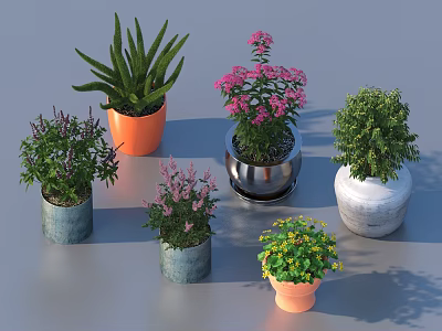 Potted Bonsai Plants Of Various Types In Colorful Pots With Green Leaves And Flowers 3d model