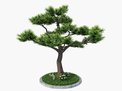 Evergreen Arbor With Brown Trunk Lush Green Foliage Circular Stone Base Grass Small White Flowers And Pebbles 3d model