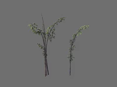 Two Natural Bamboo Stalks With Dark Stems And Lush Green Leaves 3d model