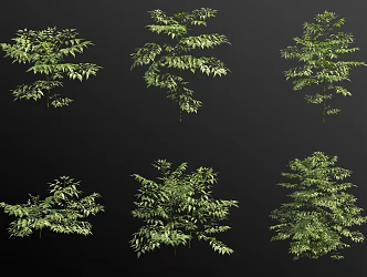 Neem Purple Flower Tree Landscape Tree 3d model