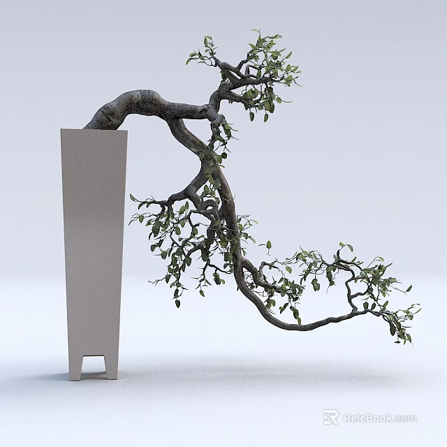 Curved Trunk Bonsai Plant in Modern White Planter with Green Leaves and Artistic Shape 3d model 