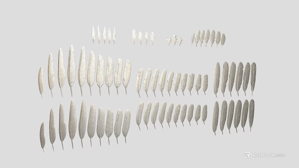 Feather Decorative Design With Various Sizes And White Gray Color Tones 3d model 