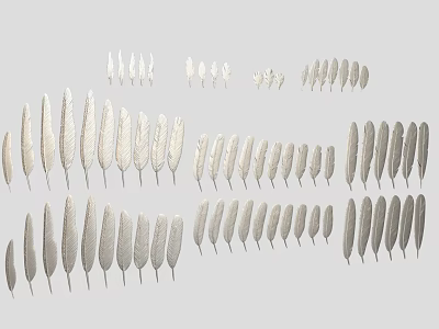 Feather Decorative Design With Various Sizes And White Gray Color Tones 3d model