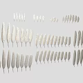 Feather Decorative Design With Various Sizes And White Gray Color Tones