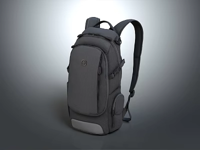 Gray Backpack With Double Shoulder Straps Multiple Pockets And Practical Design For Everyday Use 3d model