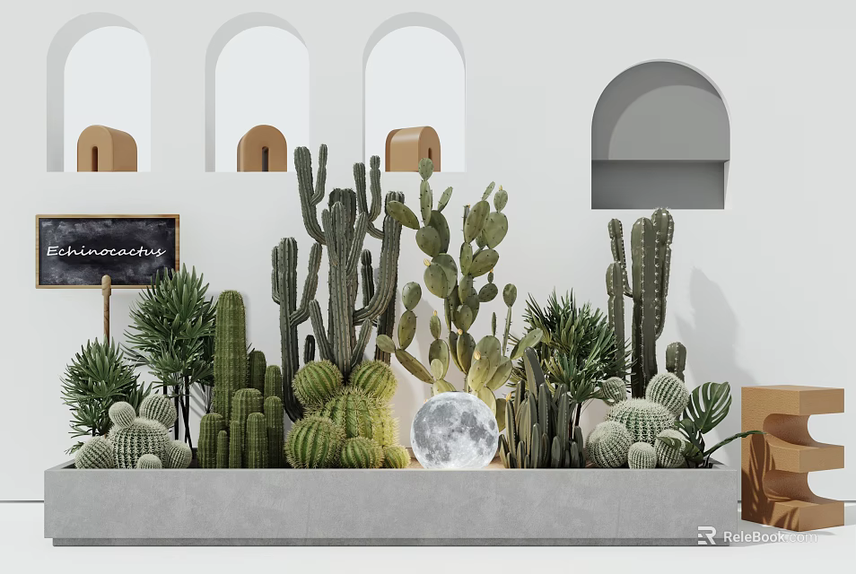 Stylish Indoor Scene With Cactus Bonsai Plants Arched Windows Moon Decoration And Blackboard 3d model 