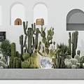 Stylish Indoor Scene With Cactus Bonsai Plants Arched Windows Moon Decoration And Blackboard