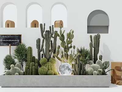 Stylish Indoor Scene With Cactus Bonsai Plants Arched Windows Moon Decoration And Blackboard 3d model