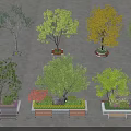 Decorative Tree Planters Featuring Various Trees And Wooden Benches With Ornamental Plants