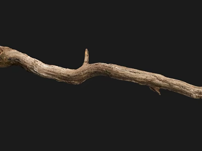 Long Dry Brown Wooden Branch With Rough Natural Texture On Black Background 3d model