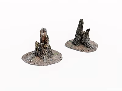 Two Natural Tree Stumps With Detailed Bark Texture Dirt And Moss Base 3d model