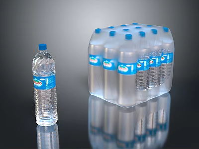 Daily Living Essentials Packaged Bottled Water Single Bottle And Carton 3d model