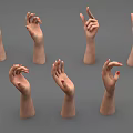 Realistic Human Hands In Different Gestures With Red Nail Polish And Natural Skin