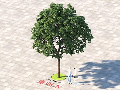 Arbor With Green Foliage In Circular Green Area On Square Paved Ground 3d model