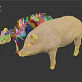 Detailed Complete Pig And Anatomical Model Displaying Internal Organs And External Hair