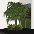 Large Green Palmlike Potted Plant Decor In Indoor Window Space With Small Plants