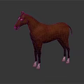 Brown Horse with White Hooves Standing on Smooth Surface Showing Reflection 3d model