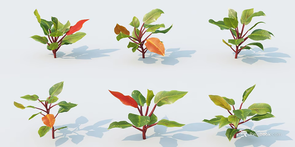 Arranged Green and Red Leaf Plants on White Background with Natural Shadows 3d model 