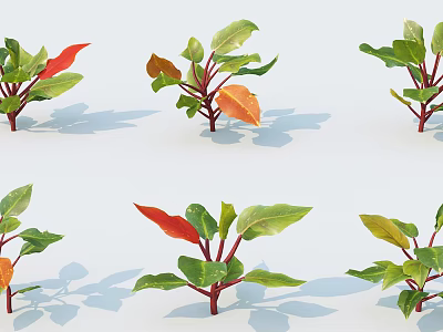 Arranged Green and Red Leaf Plants on White Background with Natural Shadows 3d model
