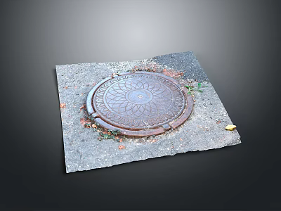 Patterned Manhole Cover on Gray Pavement with Fallen Leaves and Weeds 3d model