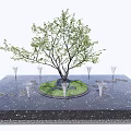 Deciduous Tree With Circular Green Lawn Surrounded By White Fountains On Black Ground