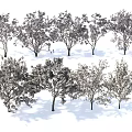 Multiple Trees With Different Heights Varied Crown Shapes And Lush Foliage 3d model