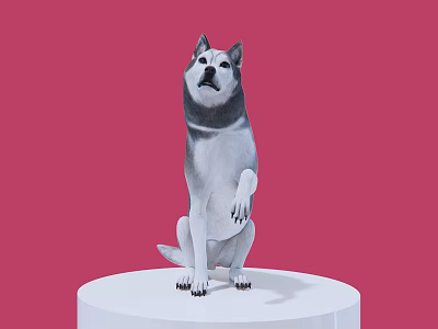 Gray And White Reptile Sitting On White Platform With Pink Background 3d model