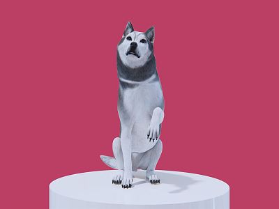 Modern Dog Family Pet Husky Dog 3d model