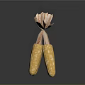 Fresh Two Corn Cobs With Golden Kernels And Soft Corn Silk On Top