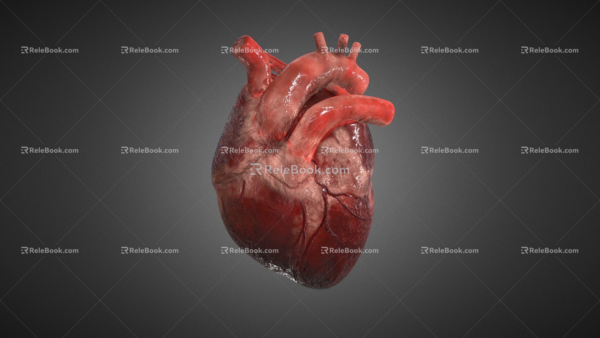 The Modern Heart 3d model