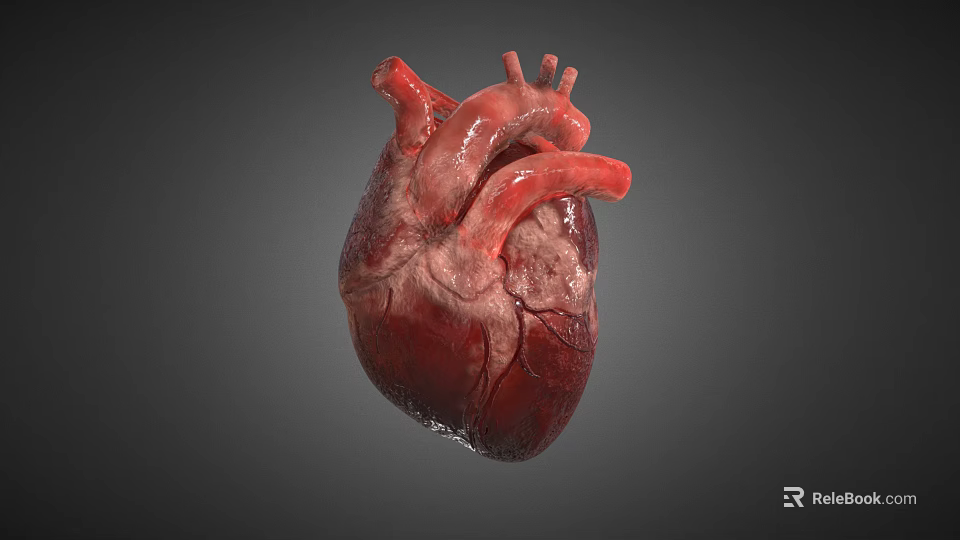 3D Heart Model Medical Device for Anatomical Education and Surgical Planning 3d model 