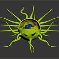 modern eukaryotic cell cross section cell structure cell tissue 3d model