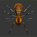 Orange and Yellow Arthropod with Long Legs Striped Body on Dark Background