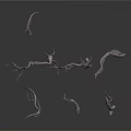 Twisted Vine Like Plants with Pale Grayish Purple Hues on Dark Background
