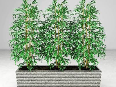Lush Green Bamboo Plants in Stone Planter for Indoor Outdoor Decorative Use 3d model