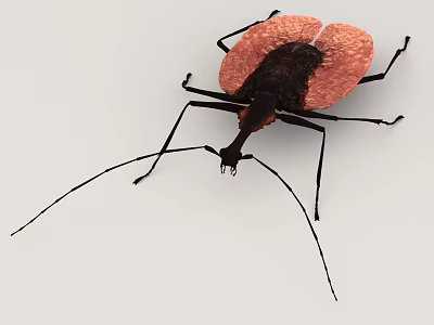 Detailed View Of Flying Beetle With Red And Black Body Long Antennae And Legs 3d model