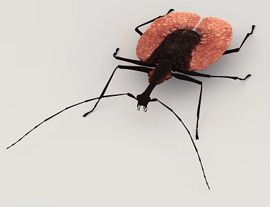 Animals Small Animals Pet Creatures Insect Bugs 3d model