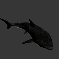 Great White Shark With Open Mouth Sharp Teeth In Deep Dark Ocean 3d model