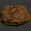 Opened Walnut with Fresh Green Kernels Inside Showing Natural Texture