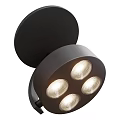 Modern Design Black Downlights And Spotlights With Multiple Heads For Indoor Ceiling Lighting 3d model