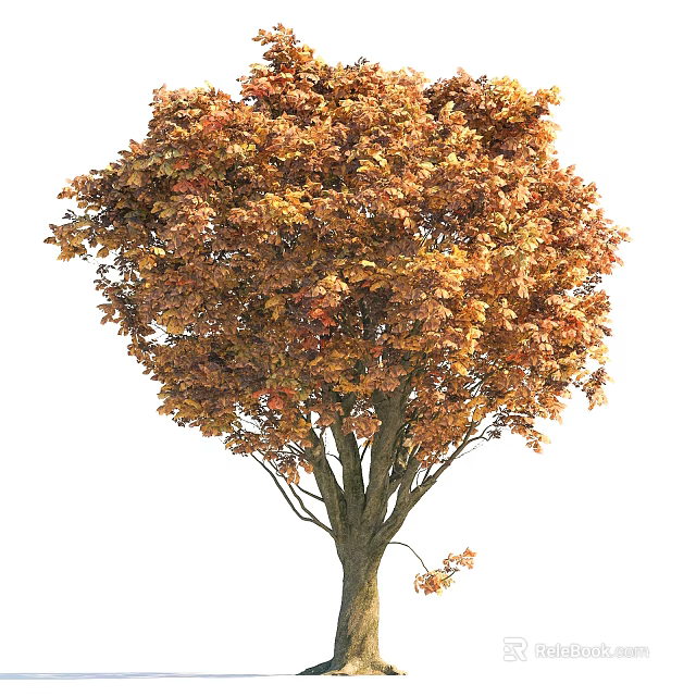 Arbor With Golden Autumn Leaves And Strong Trunk In Outdoor Garden 3d model 