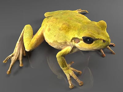 Green Reptile With Large Black Eyes And Textured Skin On Gray Background 3d model
