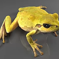 Green Reptile With Large Black Eyes And Textured Skin On Gray Background