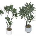 Green Plant Wall Design with Potted Plants and Lush Green Leaves in Modern Pots