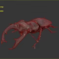 Modern beetle dung beetle chafer 3d model